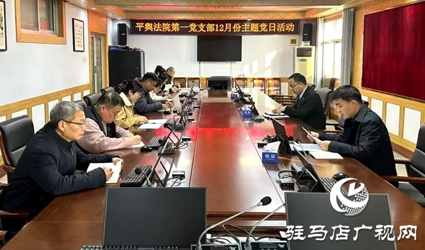 平輿縣人民法院開展“深化理論學(xué)習(xí)，凝聚奮進力量”主題黨日活動