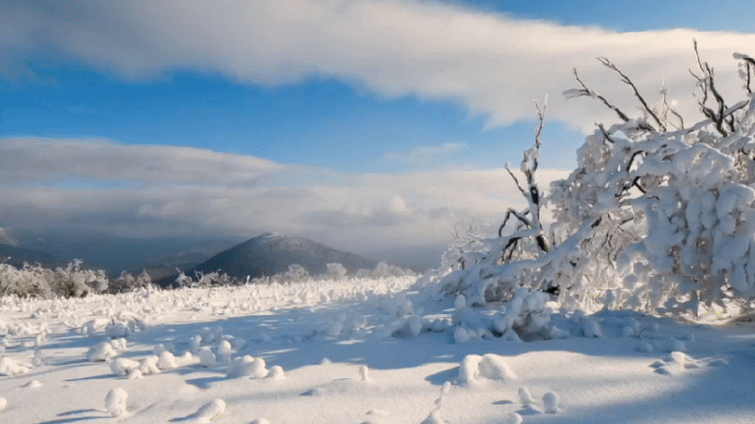 新年第一站，我先沖了！