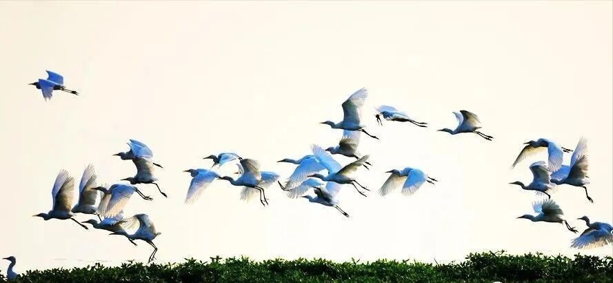 駐馬店冬日微度假指南：在山水間，赴一場暖冬之約