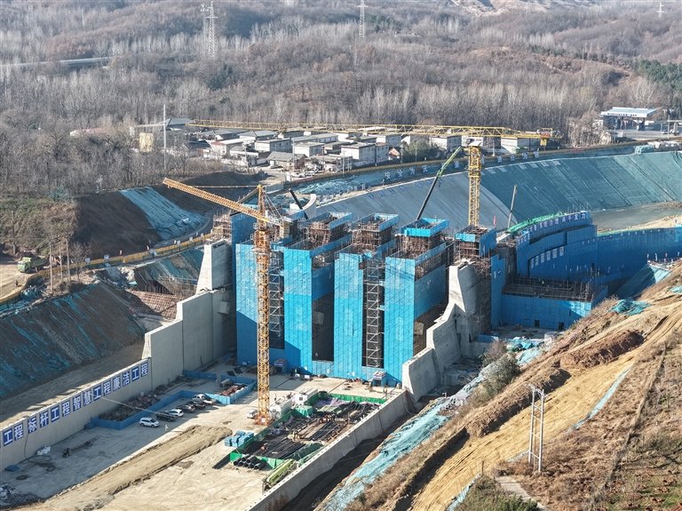 晚播小麥冬日&ldquo;成長錄&rdquo;