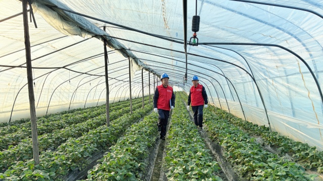 國網(wǎng)確山縣供電公司：為“莓”好生活充滿電