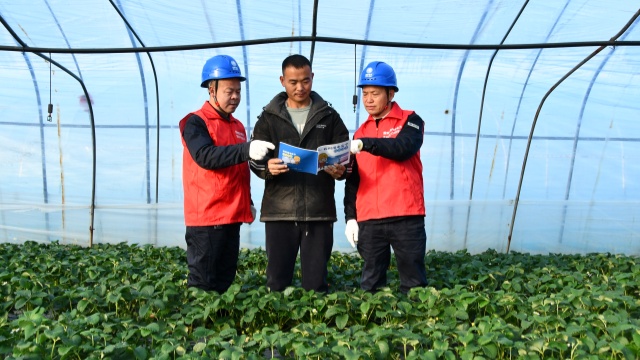 國網(wǎng)確山縣供電公司：為“莓”好生活充滿電