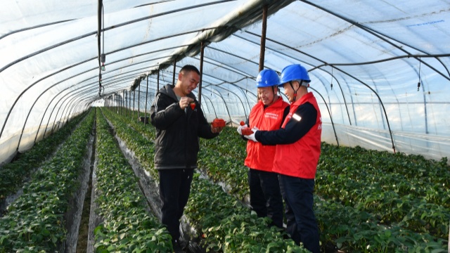 國網(wǎng)確山縣供電公司：為“莓”好生活充滿電