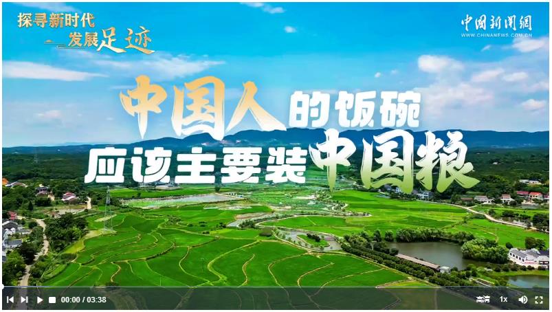 探尋新時代發(fā)展足跡｜中國人的飯碗應該主要裝中國糧
