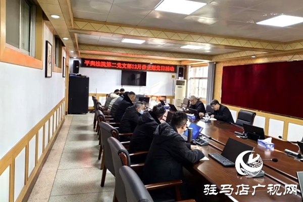 平輿縣人民法院開展“深化理論學(xué)習(xí)，凝聚奮進力量”主題黨日活動