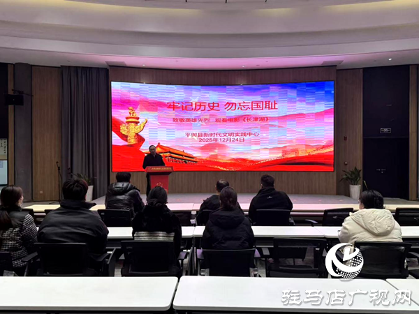 平輿縣新時代文明實踐中心組織開展“銘記歷史·致敬英雄”主題活動