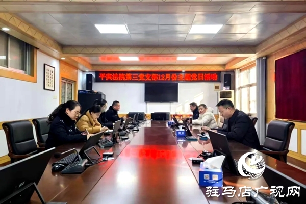 平輿縣人民法院開展“深化理論學(xué)習(xí)，凝聚奮進力量”主題黨日活動