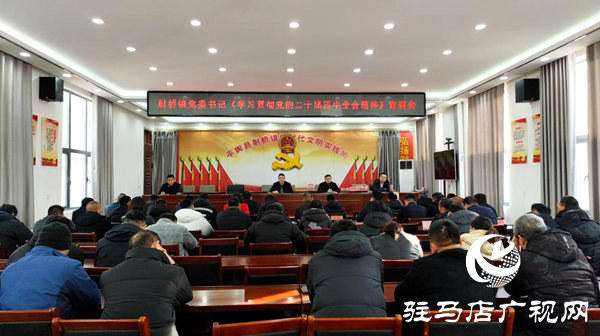 平輿縣射橋鎮(zhèn):深學(xué)精神聚共識(shí) 篤行實(shí)干促發(fā)展