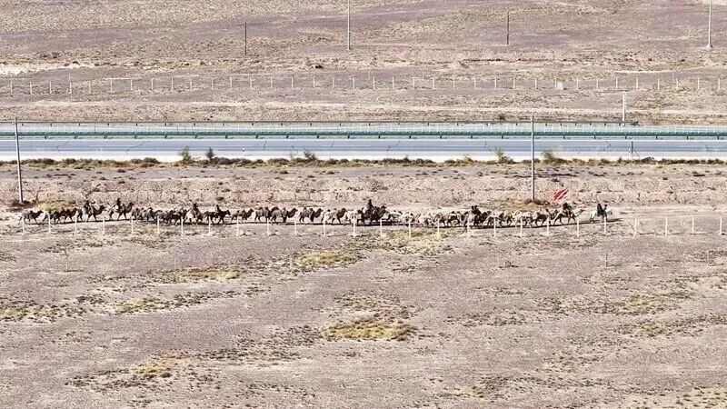 絲綢之路的味道，河南人都知道！