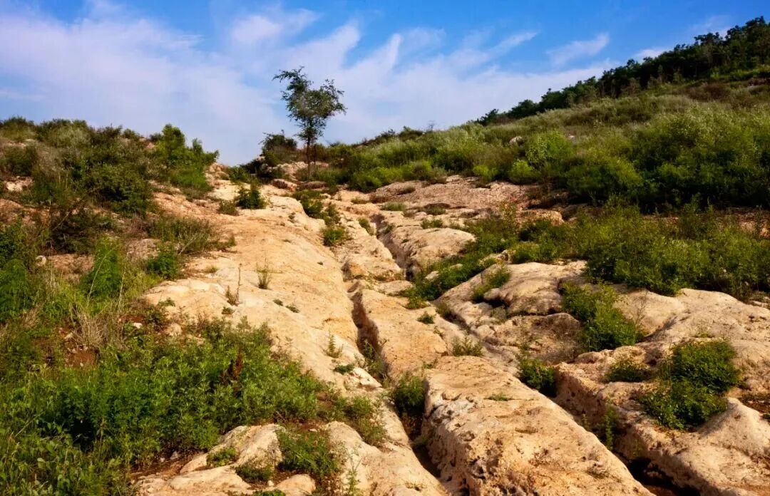 絲綢之路的味道，河南人都知道！