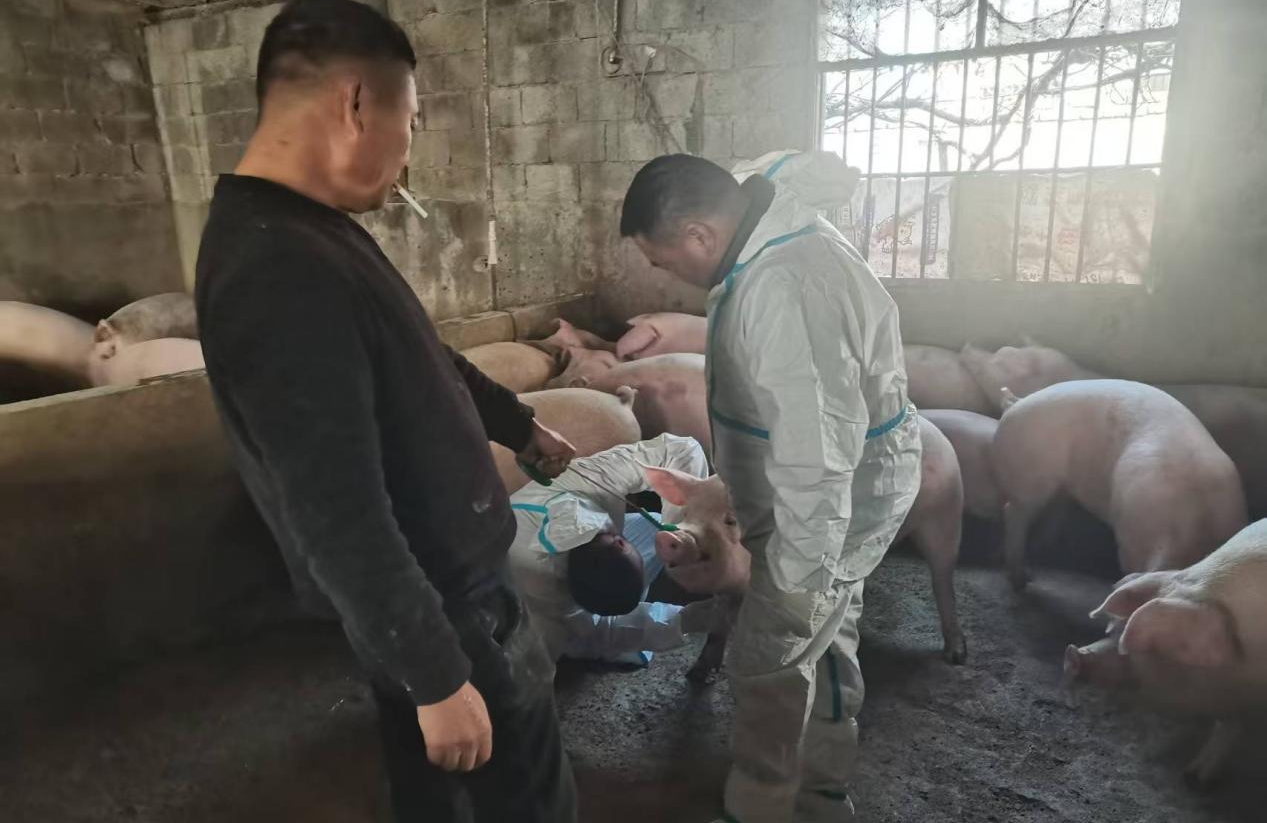 駐馬店市動(dòng)物疫病防疫檢疫中心發(fā)布2026年元月份動(dòng)物疫病預(yù)警預(yù)報(bào)