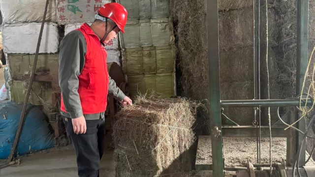 國網泌陽縣供電公司：電力護航艾飄香 優(yōu)質服務產業(yè)旺