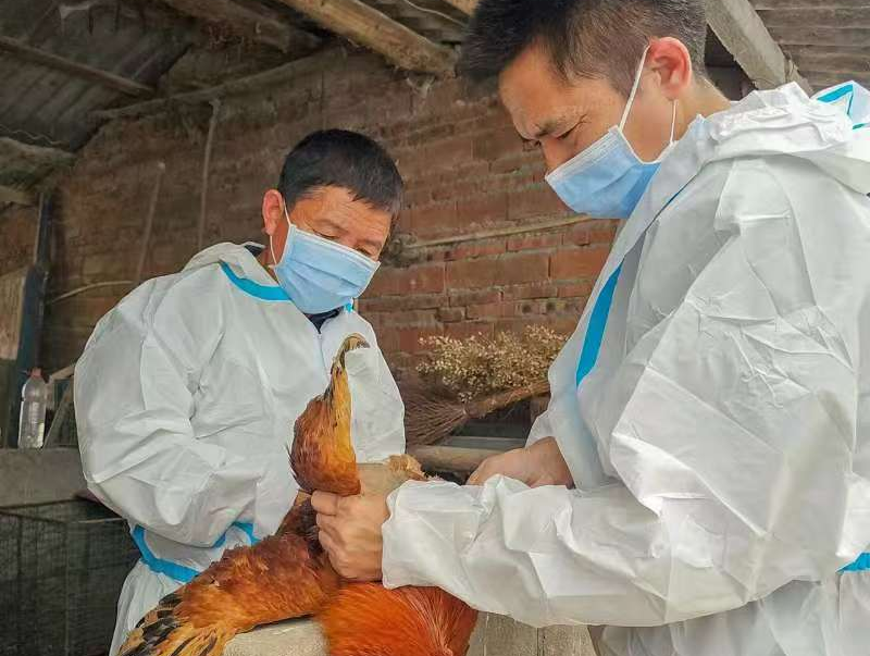 駐馬店市動(dòng)物疫病防疫檢疫中心發(fā)布2026年元月份動(dòng)物疫病預(yù)警預(yù)報(bào)