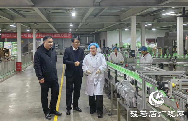 晨鐘生物：科技賦能 絲瓜“長(zhǎng)”出新產(chǎn)業(yè)