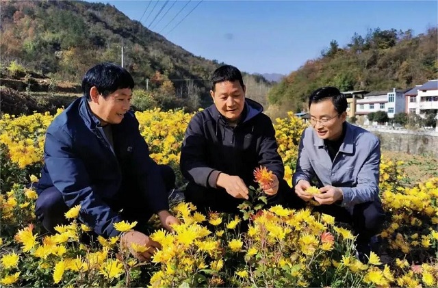 回眸2025丨將自身發(fā)展融入國家發(fā)展大局，中國人壽交出“三有”年度答卷