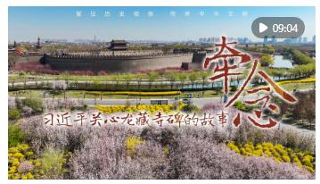 時政微紀錄片｜牽念——習近平關心龍藏寺碑的故事