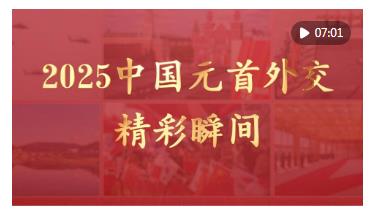 視頻畫報｜2025中國元首外交精彩瞬間