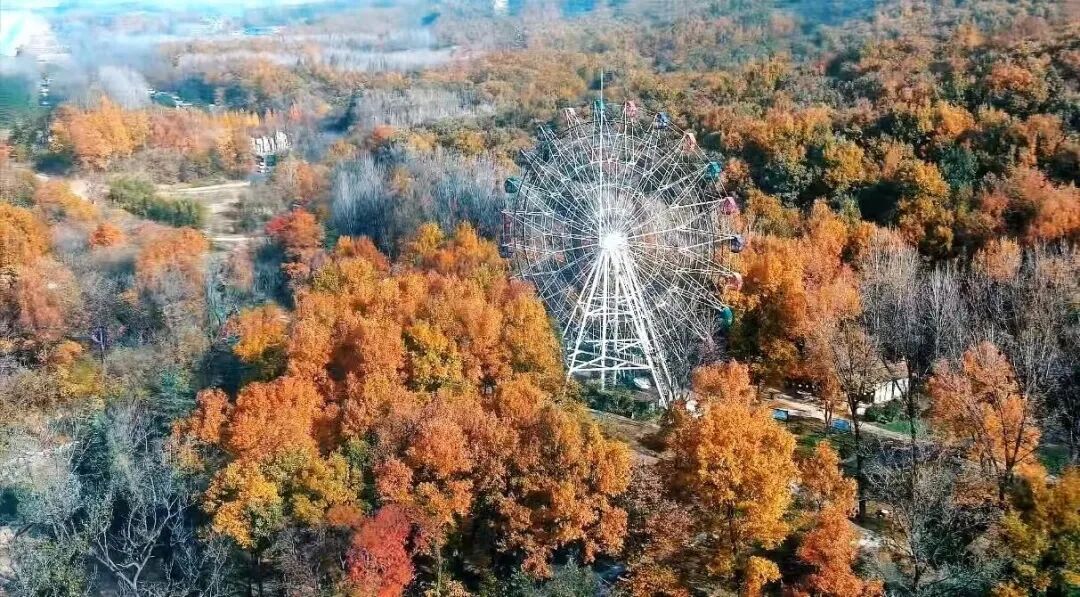 金頂山13天免票暢玩，山水詩(shī)意邀您入畫(huà)！