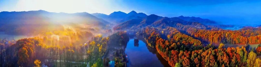 金頂山13天免票暢玩，山水詩(shī)意邀您入畫(huà)！