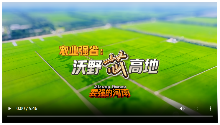 要強的河南，正在超級進化