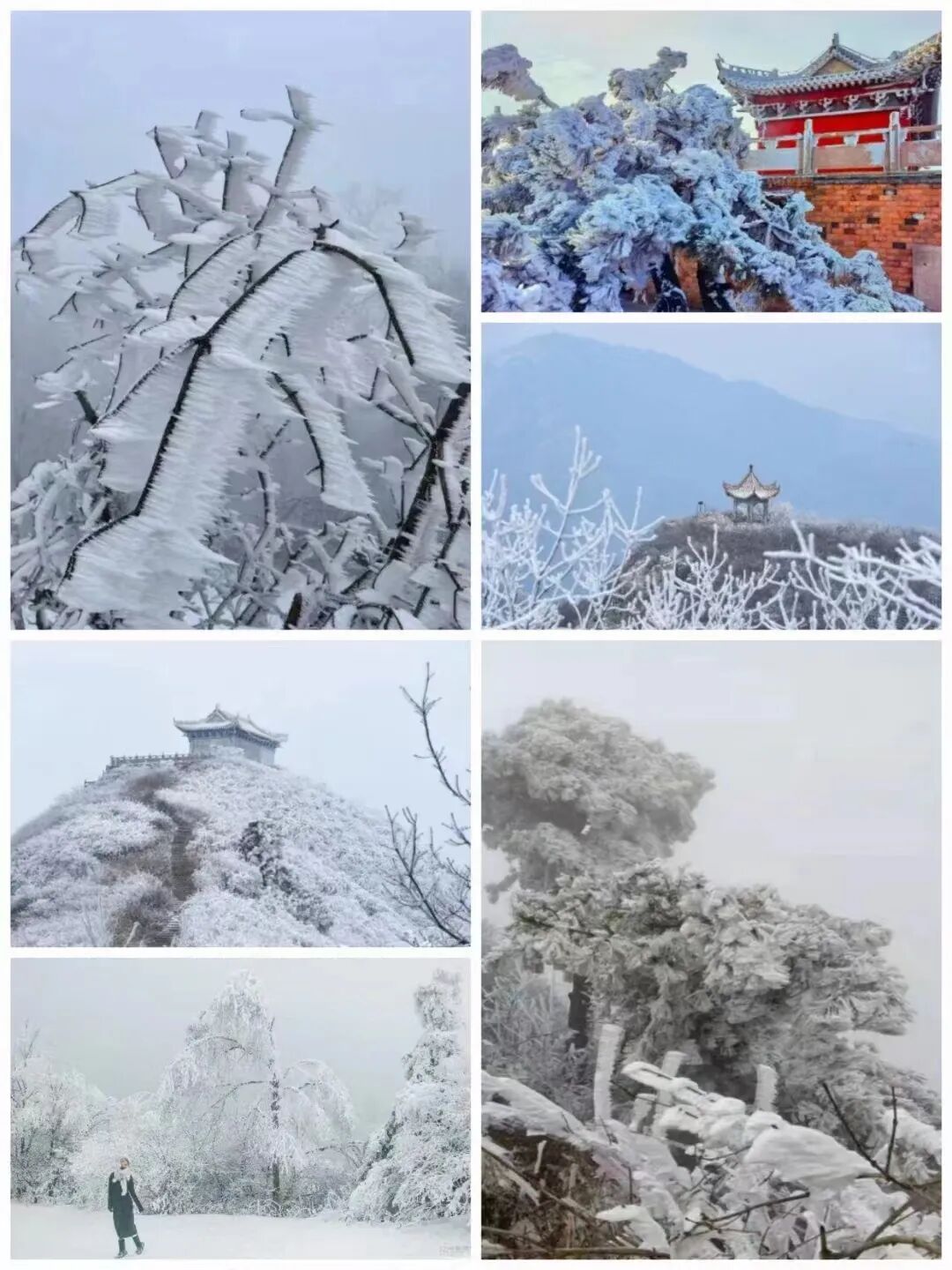 雪落無(wú)聲，詩(shī)意滿(mǎn)天中