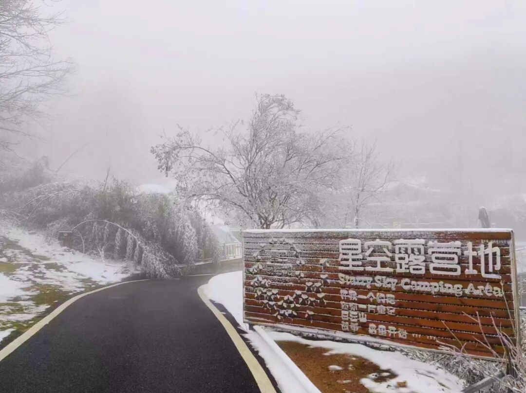 雪落無(wú)聲，詩(shī)意滿(mǎn)天中