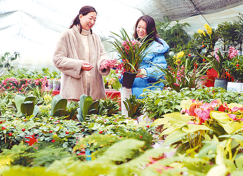 小寒農(nóng)事忙