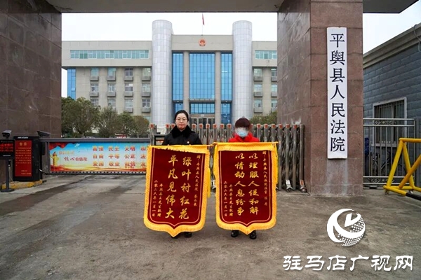 平輿縣人民法院：她頂風(fēng)冒雨，送來錦旗！            