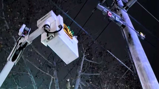 國網平輿縣供電公司：帶電作業(yè)清理樹障 護航冬季安全用電