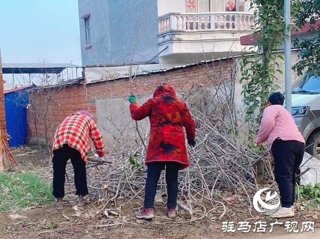 新蔡縣佛閣寺鎮(zhèn)：開展人居環(huán)境整治 助力鄉(xiāng)村“展新顏”