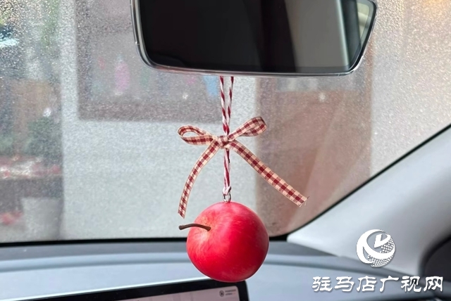 冬季行車需警惕：這些車內(nèi)“溫暖裝飾”可能暗藏危險(xiǎn)
