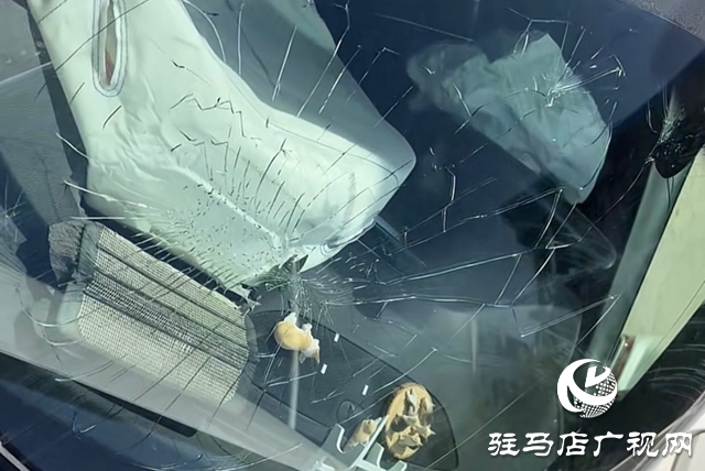 冬季行車需警惕：這些車內(nèi)“溫暖裝飾”可能暗藏危險(xiǎn)