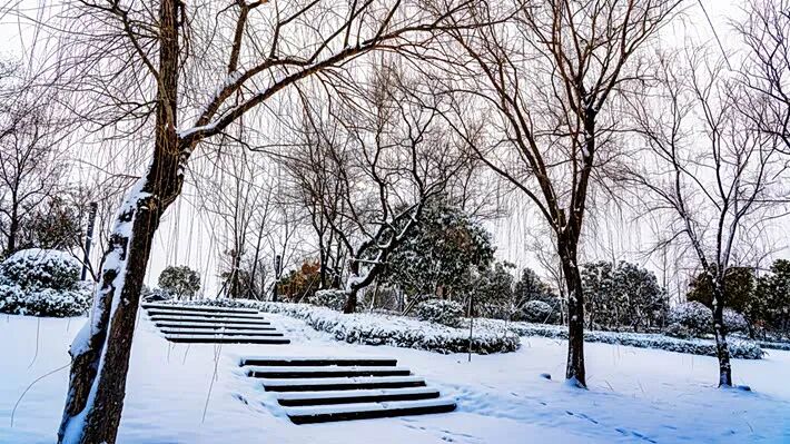 雪落玉湖 如詩如畫