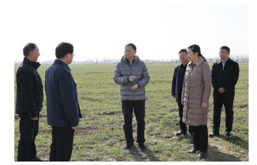 劉寧到信陽(yáng)息縣調(diào)研推動(dòng)工作時(shí)強(qiáng)調(diào)：著力抓好小麥田管促苗情轉(zhuǎn)化升級(jí) 發(fā)揮優(yōu)勢(shì)努力把農(nóng)業(yè)建成現(xiàn)代化大產(chǎn)業(yè)
