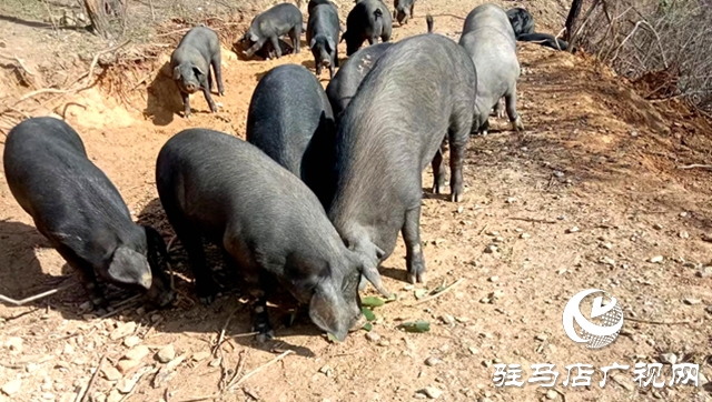 冬日送暖，愛滿天中：愛心企業(yè)物資發(fā)放，回饋社會(huì)暖人心