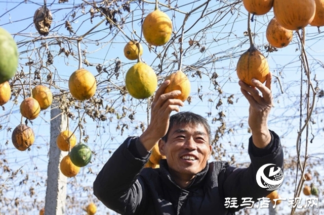 正陽縣：電商賦能“土特產(chǎn)” 連接鄉(xiāng)村“振興路”