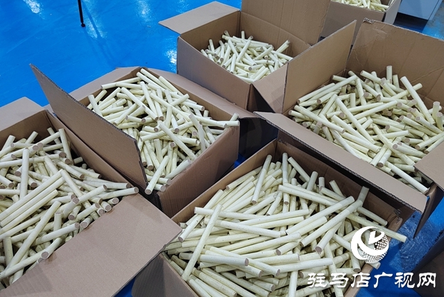 駐馬店艾多多生物科技：以硬核品控擦亮天中艾草名片