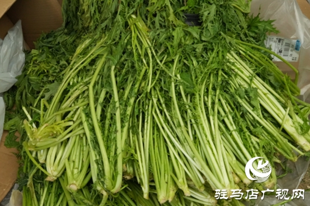 正陽縣：電商賦能“土特產(chǎn)” 連接鄉(xiāng)村“振興路”