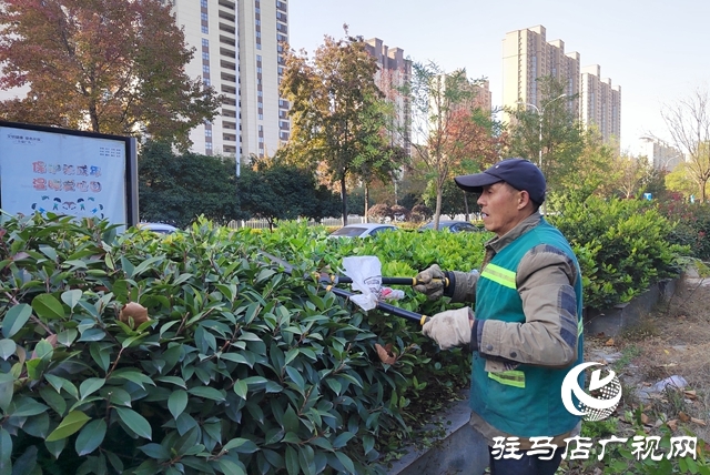 駐馬店：冬季管養(yǎng)正當(dāng)時(shí) 綠化養(yǎng)護(hù)忙不停 ???????