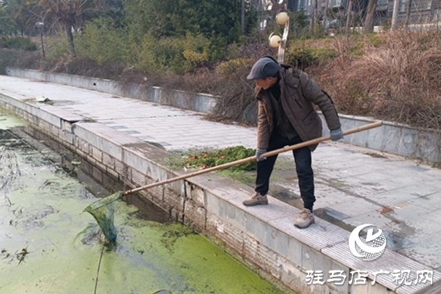 駐馬店市園林綠化中心：清理開源河水草 守護(hù)河道生態(tài)環(huán)境