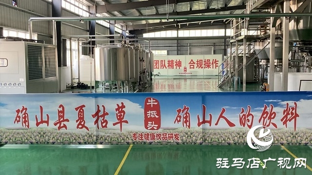 確山夏枯草“鏈”上發(fā)力 實現(xiàn)道地藥材到暢銷涼茶的產(chǎn)業(yè)躍升