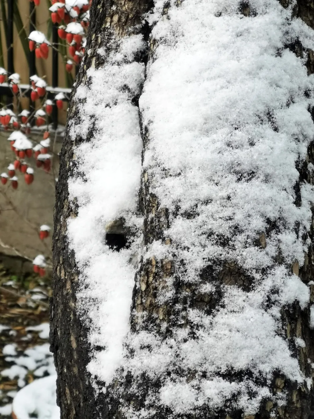 嘉源畫館——小城星火 如何照亮國展之路