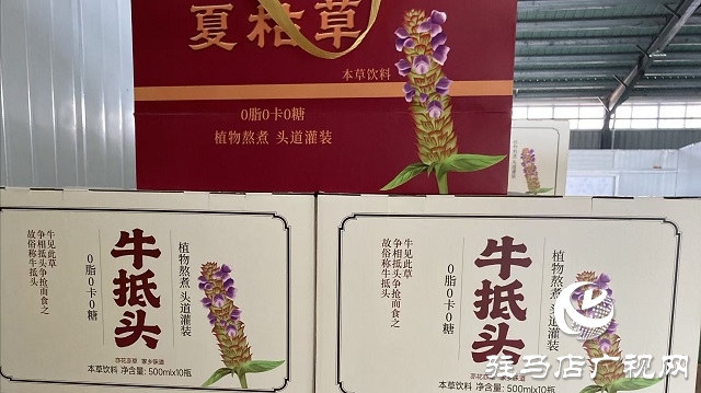 確山夏枯草“鏈”上發(fā)力 實現(xiàn)道地藥材到暢銷涼茶的產(chǎn)業(yè)躍升