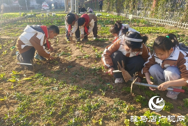 金雀路小學(xué)“愛心集市”開市！小學(xué)生變身“帶貨”小能手