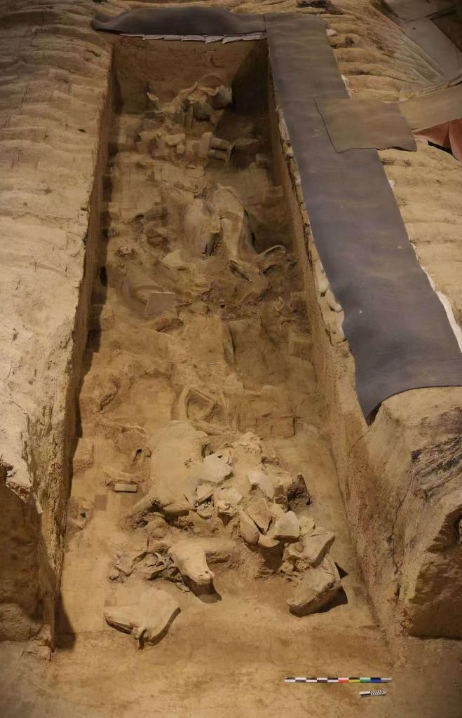 秦兵馬俑考古新發(fā)現(xiàn)：二號坑發(fā)掘出土兩乘戰(zhàn)車