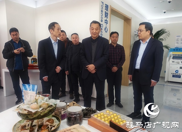 建行平輿清河大道支行開業(yè) 金融賦能平輿縣域發(fā)展再添新動力