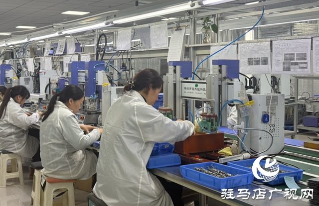 遂平微興電子：起步即加速 滿負(fù)荷生產(chǎn)奪“開門紅”